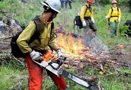 2026 S-112 Introduction to Chainsaw Operations- Blended
