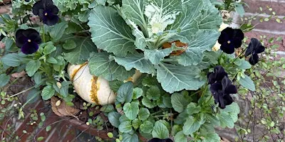 Free Seminar: Fall Porch and Planter Design