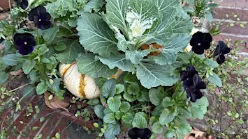 Free Seminar: Fall Porch and Planter Design
