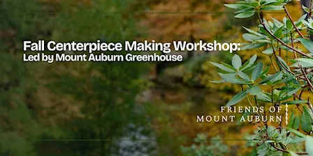Fall Centerpiece Making Workshop