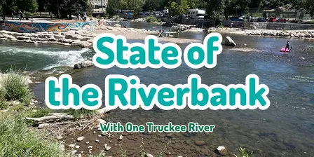 State of the Riverbank - Wingfield Park