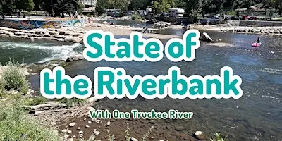 State of the Riverbank - Wingfield Park