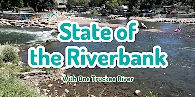 State of the Riverbank - Wingfield Park