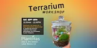 Classic Terrarium Workshop