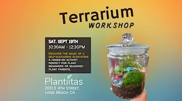 Classic Terrarium Workshop