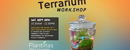 Classic Terrarium Workshop