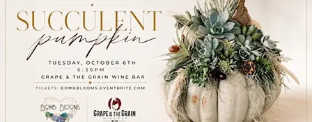 Succulent Pumpkin Design Workshop with Bomb Blooms  at Grape & the Grain.