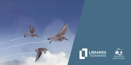 BeamaClub Film: Flyways at Rosny Library