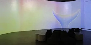 The Fish Tank : Jagath Dheerasekara - Opening event