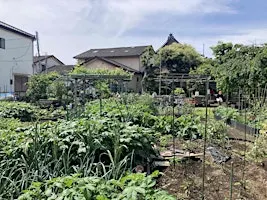 DWIH Tokyo Symposium: Human-Nature Relationships in the Anthropocene