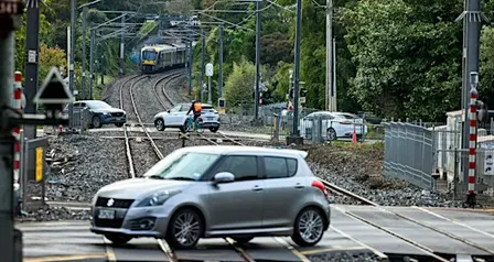 Mount Albert Rail Crossings - Focus Group Sessions
