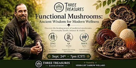 Functional Mushrooms: Ancient Wisdom from Modern Wellness