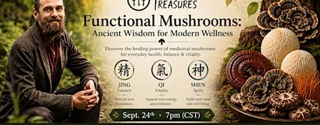 Functional Mushrooms: Ancient Wisdom from Modern Wellness
