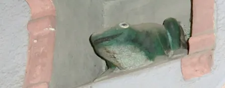 Visite contée : Mémoires de la Grenouille