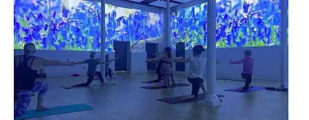 Immersive Yoga - single tickets October - November 2026
