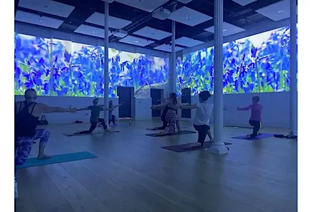 Immersive Yoga - single tickets October - November 2026