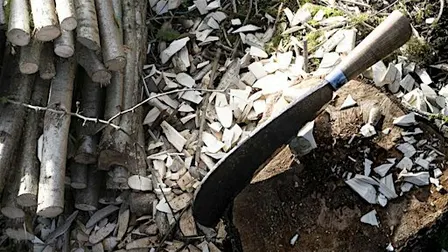 Traditional hedgelaying workshop