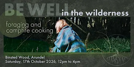 Be well in the wilderness - part 2