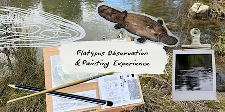 Platypus Observation & Painting Experience