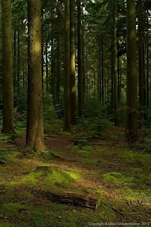Singles Hike for Muslims seeking marriage - EPPING FOREST