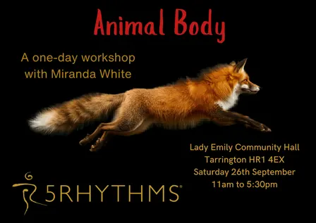 Animal Body - A One Day 5Rhythms Workshop