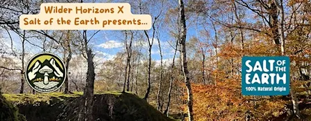 Guided Hike & Wild Photography with Lou