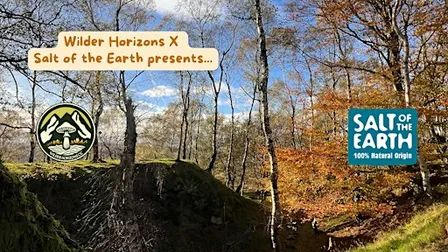 Guided Hike & Wild Photography with Lou