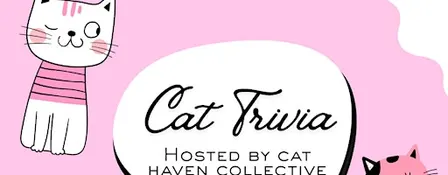 Cat Trivia