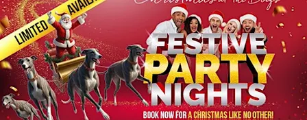 Christmas Party Night