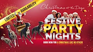 Christmas Party Night