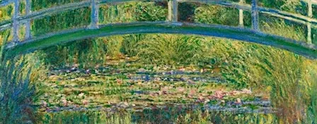 Monet's Water Lillies