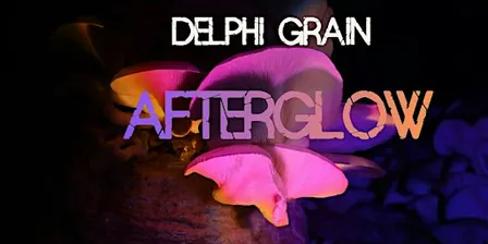 AFTERGLOW