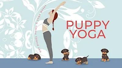 Puppy Yoga With The Crawford County Humane Society