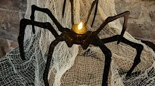 Webs & Bones