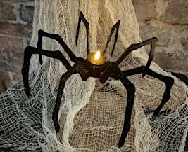 Webs & Bones