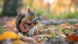 Flower City Ukulele Fall Mini Fest