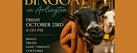 Halloween BINGOAT: Bingo + Goats