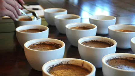 Coffee Tasting Workshop