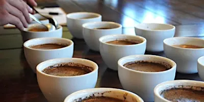 Coffee Tasting Workshop