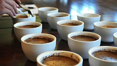 Coffee Tasting Workshop