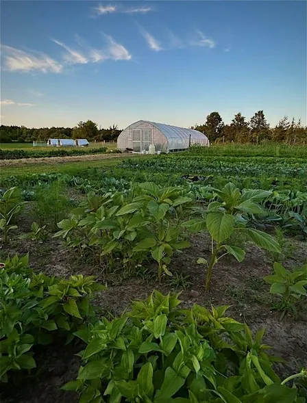 Harvest On-Farm Dinner