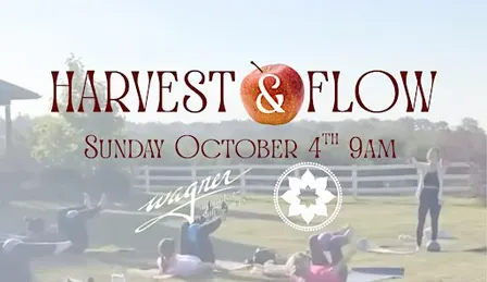 Harvest & Flow at Wagner Orchards