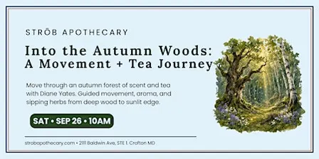 Into the Autumn Wood: A Journey of Movement, Scent, and Tea