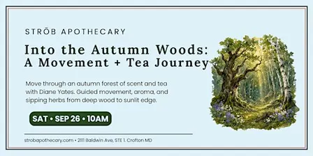 Into the Autumn Wood: A Journey of Movement, Scent, and Tea