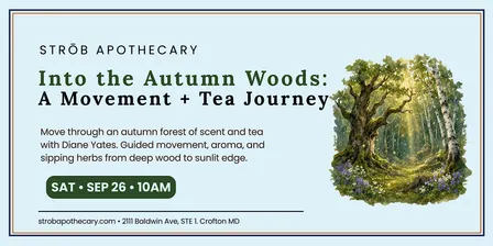 Into the Autumn Wood: A Journey of Movement, Scent, and Tea