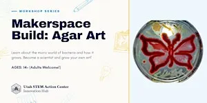 Makerspace Build: Agar Art (Teens and Adults!)