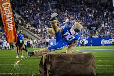 Cosmo's Game-Day Stunt Experience (Cincinnati)
