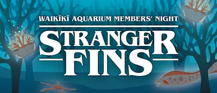 FOWA Members' Night 2026 - Stranger Fins
