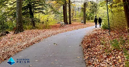 Family Hike: Invasive Species at Riverview Park with Blue Ridge PRISM