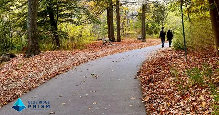 Family Hike: Invasive Species at Riverview Park with Blue Ridge PRISM
